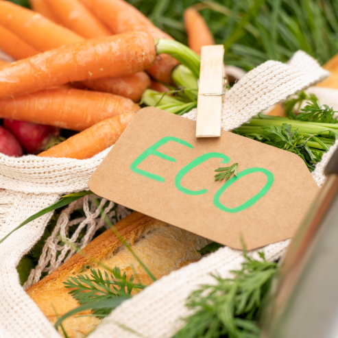 Sustainability Initiatives